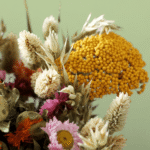 How Driedbloom is Reimagining Modern Floristry