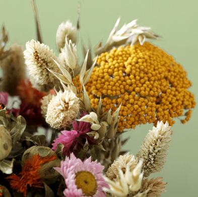 How Driedbloom is Reimagining Modern Floristry